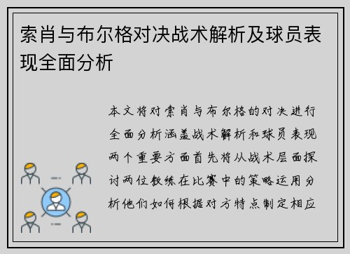 索肖与布尔格对决战术解析及球员表现全面分析